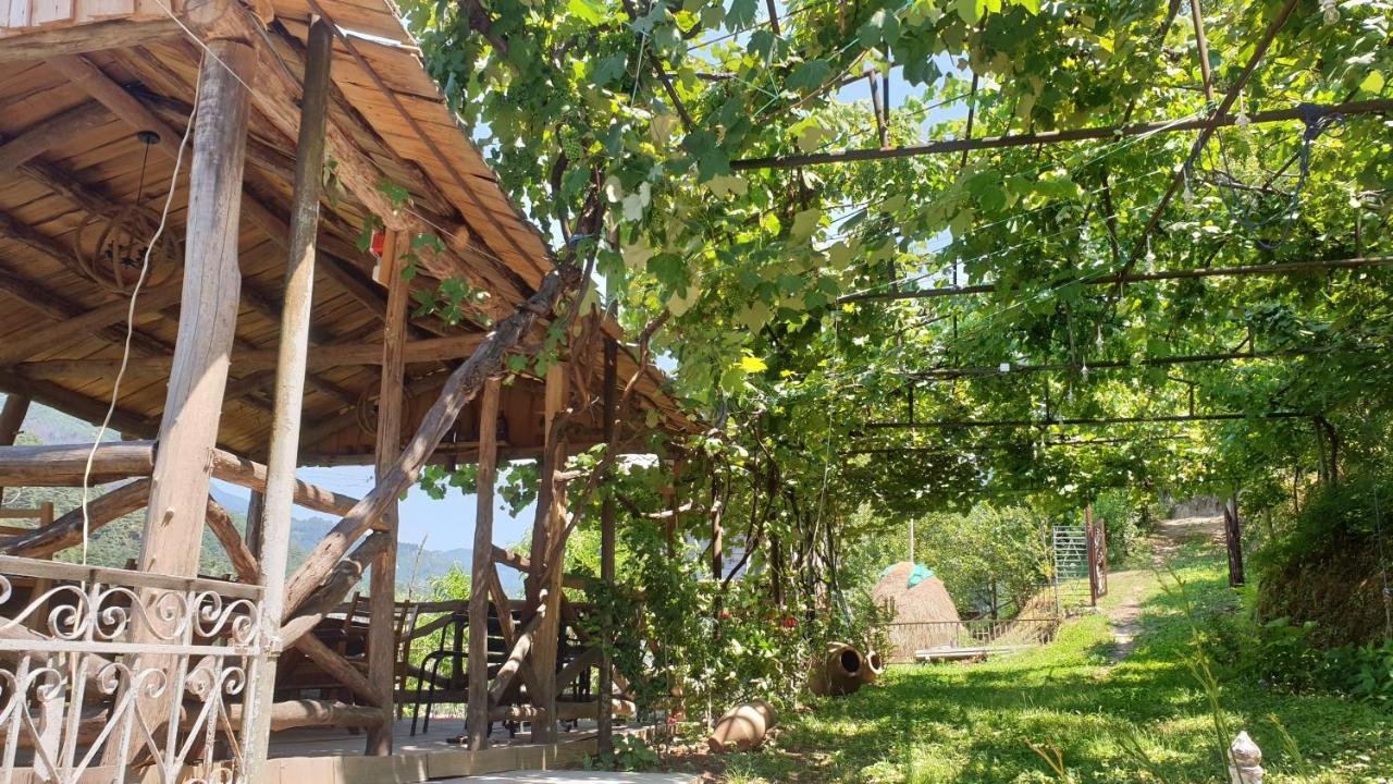 Guest House Okropilauri Shuakhevi Exterior foto