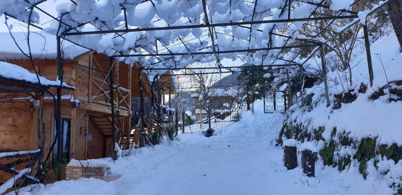 Guest House Okropilauri Shuakhevi Exterior foto